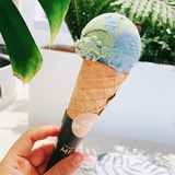 燕麦地球🌍都给我冲
