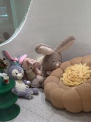 -薇薇安花系SPA