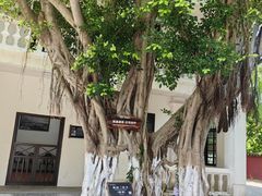 -白帝城·瞿塘峡景区