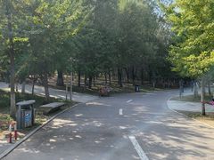 -长白岛森林公园