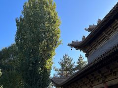 -张掖大佛寺景区