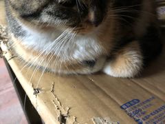 -老地方面馆(思南路店)