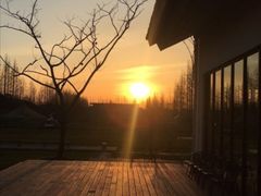 -前小桔亲子创意农场·草莓采摘·露营烧烤