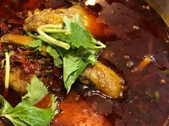 -川东长筷子耗儿鱼(万象润街店)