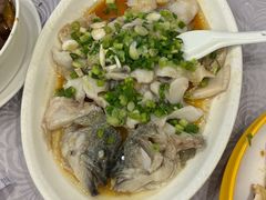 香葱淋鲈鱼-粤·向群饭店(龙津东路总店)