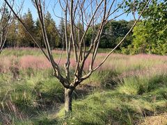 -下渚湖国家湿地公园科普馆