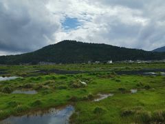 -腾冲北海湿地