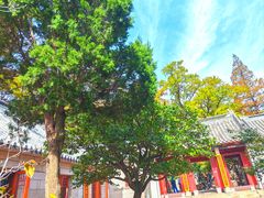 -青岛崂山太清宫