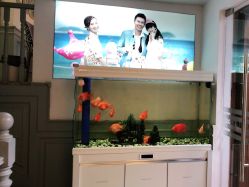 点击看大图 -非常六加一儿童摄影(同安店)