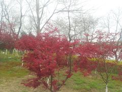 -白塘生态植物园