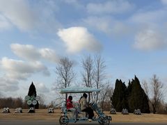 -盐城丹顶鹤湿地生态旅游区