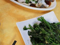 -鸽王世家(东华东路店)