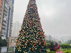 -厝包四点金·潮宴(太古仓店)