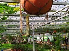 -兰陵国家农业公园