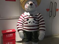 -成都泰迪熊博物馆