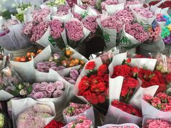 -秦美花卉(天朗·莱茵小城2期店)