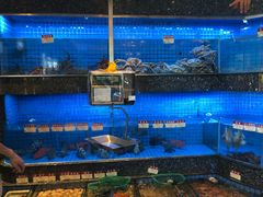 水产区-协成海鲜火锅(情侣路店)