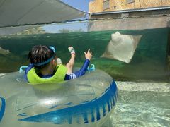 -新加坡水上探险乐园