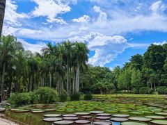 -中国科学院西双版纳热带植物园