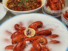 -杨氏青龙虾·羊蝎子(托乐嘉店)