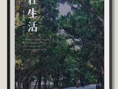 -八大关景区