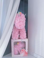 -莫纳瑜伽·普拉提