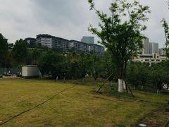 -金海湾滨江公园