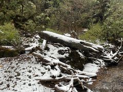 -龙苍沟森林公园