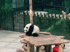 -沈阳森林动物园