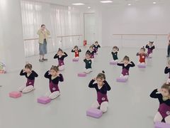 -西安小天鹅艺术团(金花路校区)