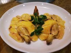 -永記粤菜·五指毛桃花雕鸡煲(九亭店)