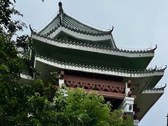 -王借岗森林公园