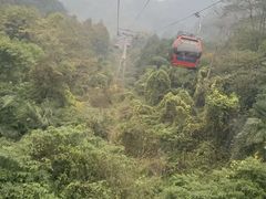 -青城山