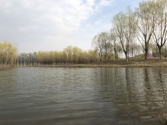 -东郊湿地公园