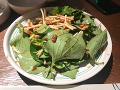 凉拌折耳根-云海肴·汽锅鸡·云南菜(领展购物广场·中关村店)