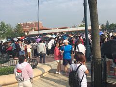 -迪士尼乐园停车场
