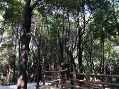 -火炉山森林公园