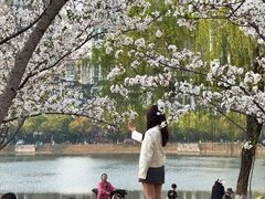 -西北湖绿化广场