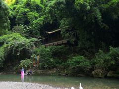 -三峡人家风景区