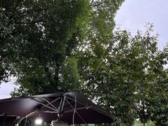 -张鸟园农家乐(张鸟园店)