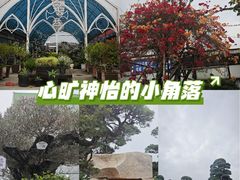 -陈村花卉小镇-花卉世界