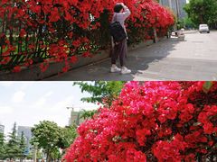 -四川大学(华西校区)