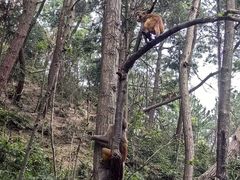 -黔灵山公园