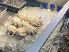 -铭聚章鱼土笋冻(松柏店)