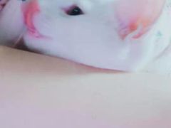 -芭比堂动物医院·犬猫全科·异宠专科(雁塔分院)