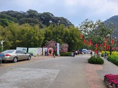 -广州市石门国家森林公园