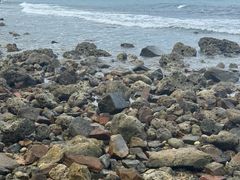 -JW万豪厨房餐厅·滨海草坪烧烤·海鲜·海景(三亚绿发山海天JW万豪酒店)