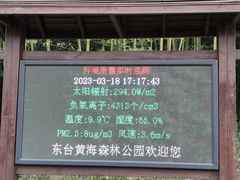 -黄海国家森林公园