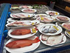 -大连湾旭日·家宴·海肠捞饭(马栏广场店)