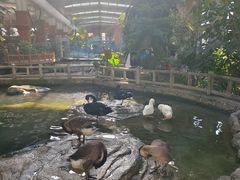 -南宫五洲植物乐园